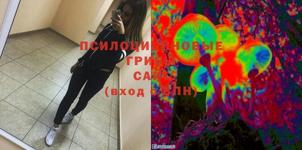 твердый Алексеевка