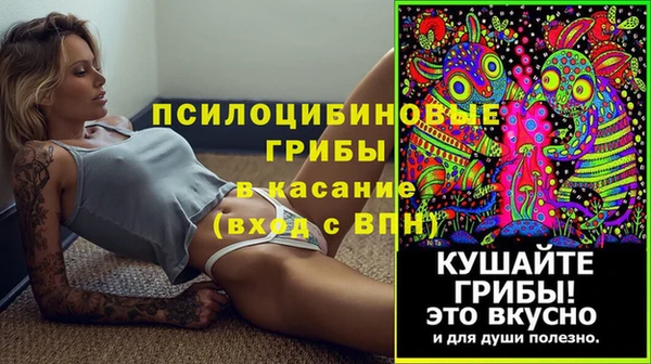 твердый Алексеевка