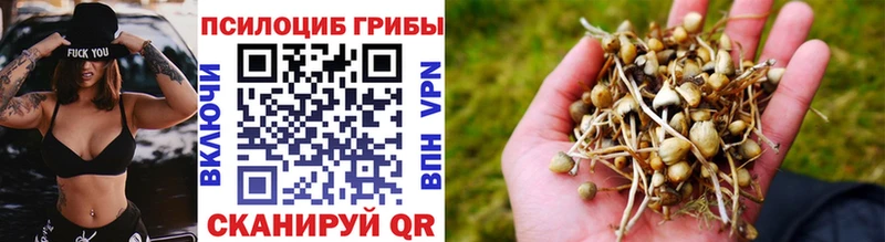 купить  сайты  Полярные Зори  Галлюциногенные грибы мицелий 